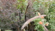 img0041.jpg