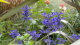 img0043.jpg