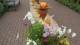 img0045.jpg