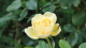img0059.jpg