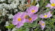 img0069.jpg