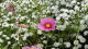 img0079.jpg