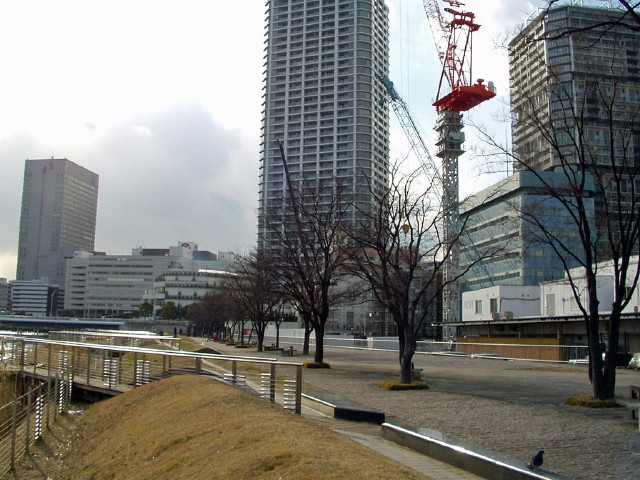 img0016.jpg