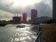 img0019.jpg