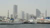 img0031.jpg