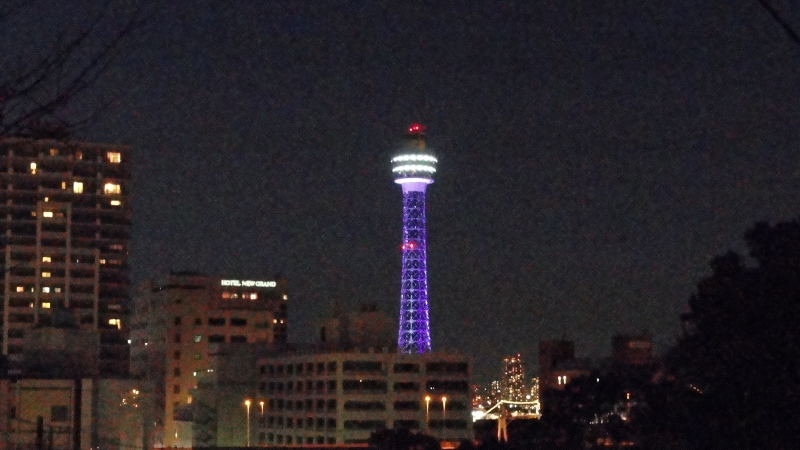 img0011.jpg