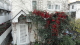 img0000.jpg
