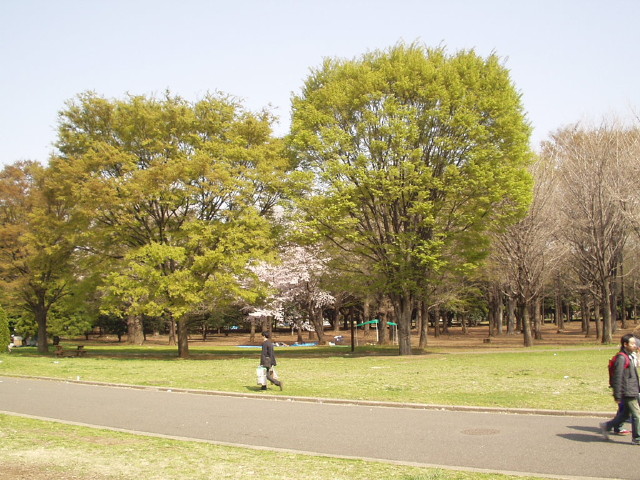 img0001.jpg