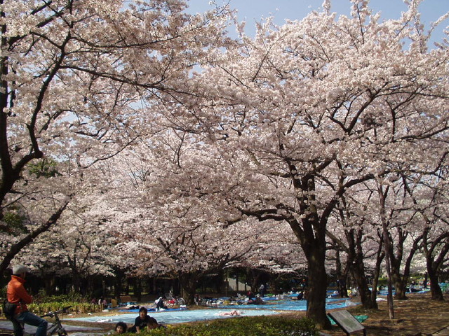img0003.jpg