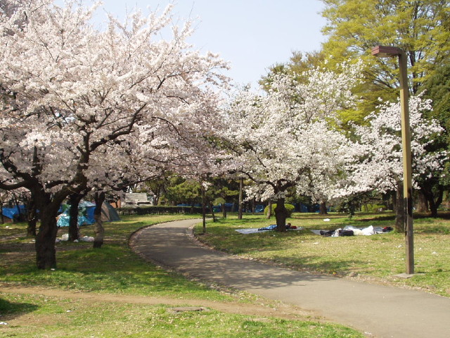img0005.jpg