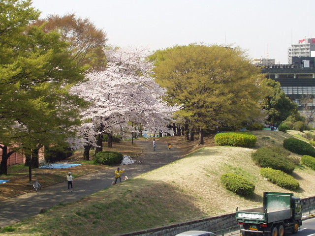 img0007.jpg