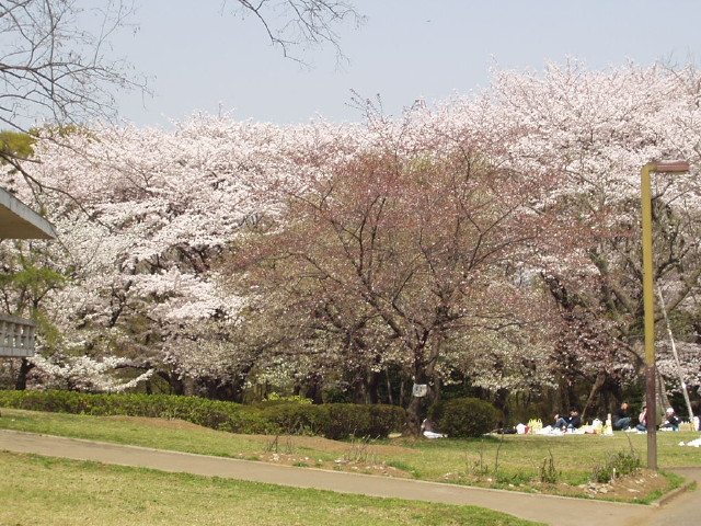 img0010.jpg