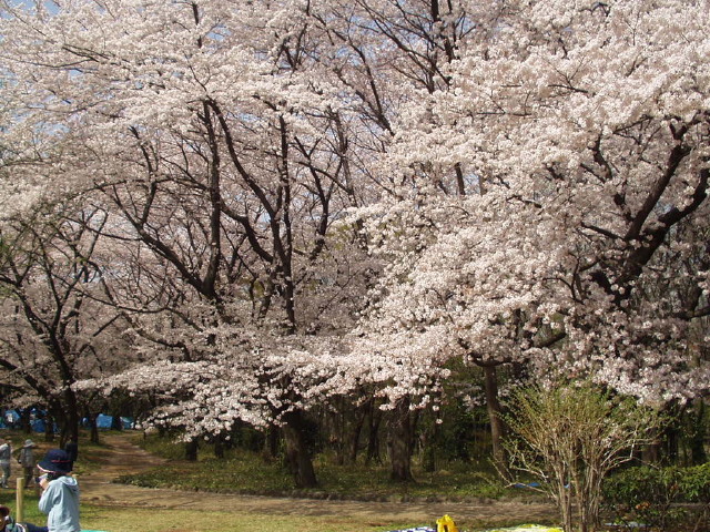 img0013.jpg