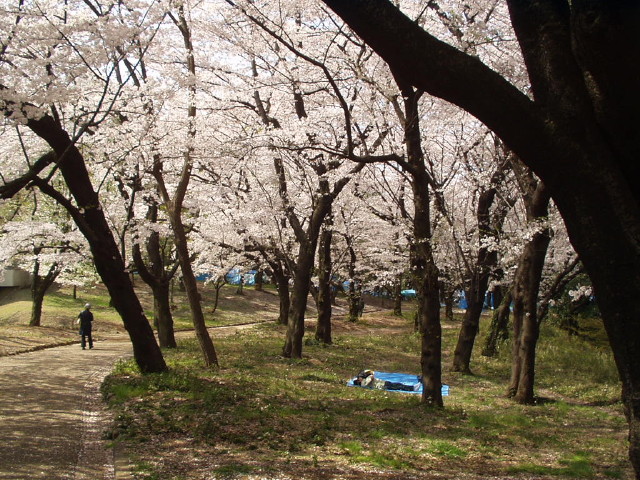 img0015.jpg