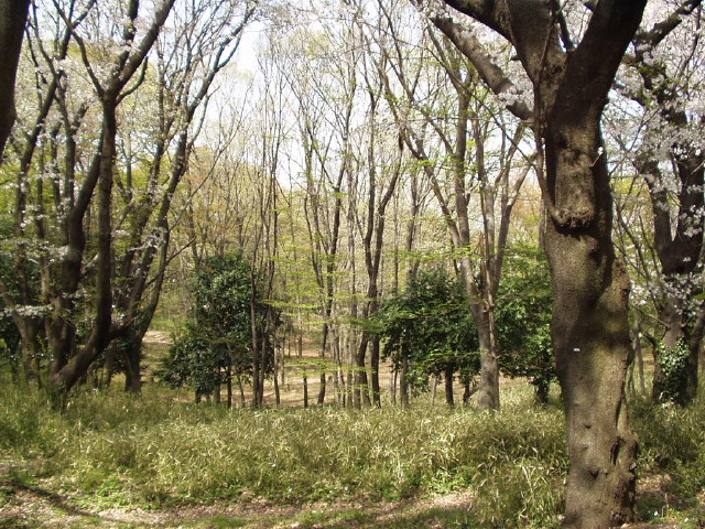img0016.jpg