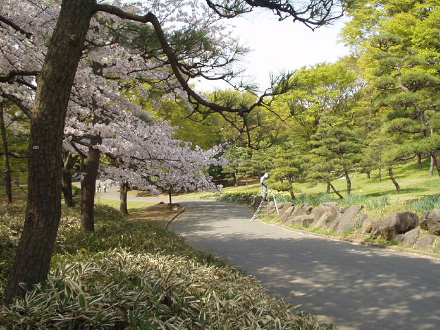 img0017.jpg