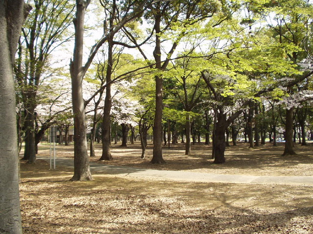 img0019.jpg