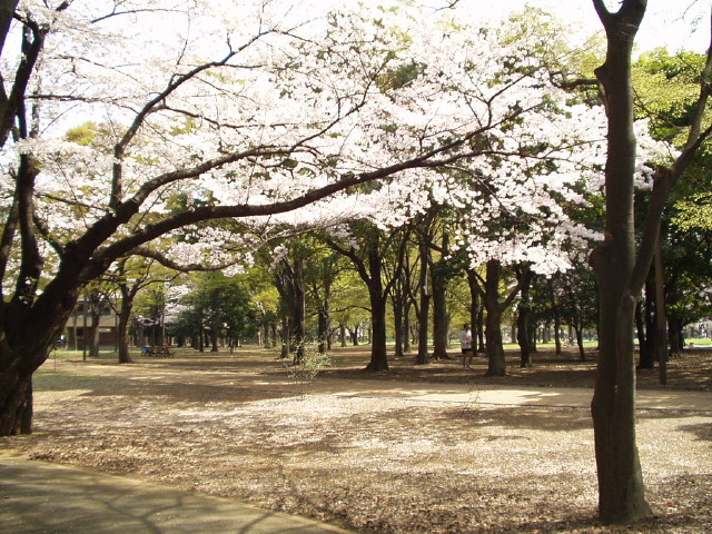 img0020.jpg