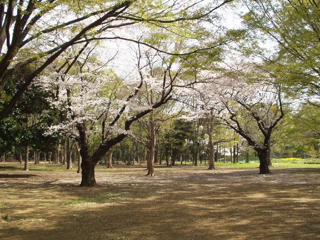 img0022.jpg