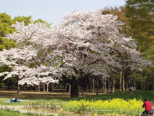 img0023.jpg
