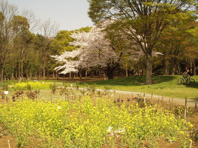 img0024.jpg