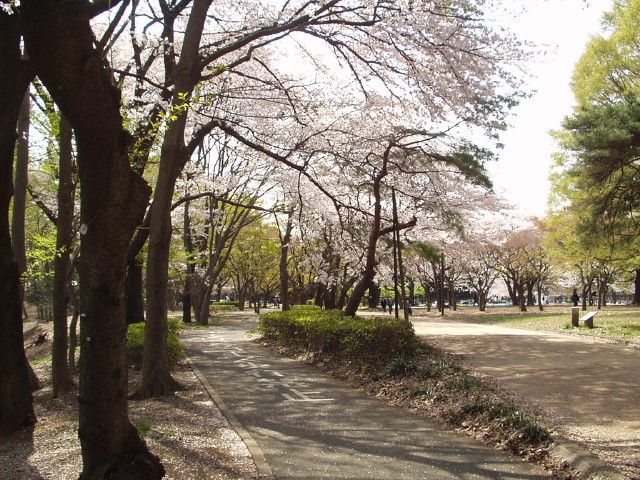 img0026.jpg