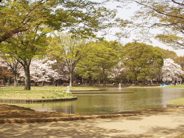 img0029.jpg