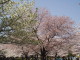 img0004.jpg