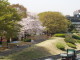 img0007.jpg