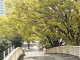 img0009.jpg