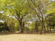 img0011.jpg