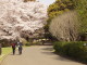 img0012.jpg