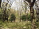 img0016.jpg