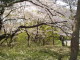 img0018.jpg