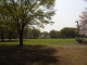 img0021.jpg