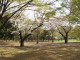 img0022.jpg