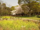 img0024.jpg