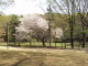img0025.jpg