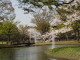 img0028.jpg