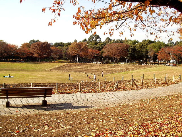 img0000.jpg