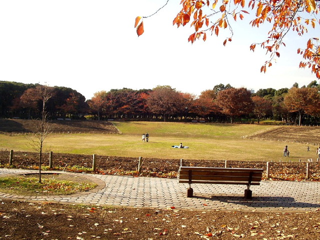 img0001.jpg
