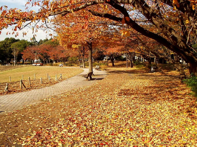 img0002.jpg