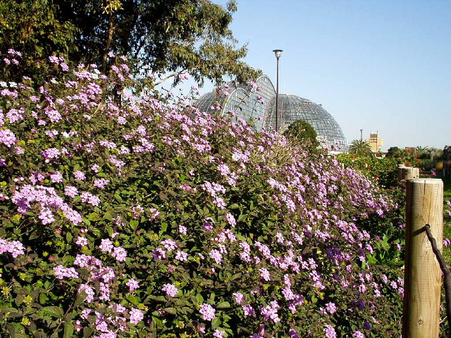 img0003.jpg
