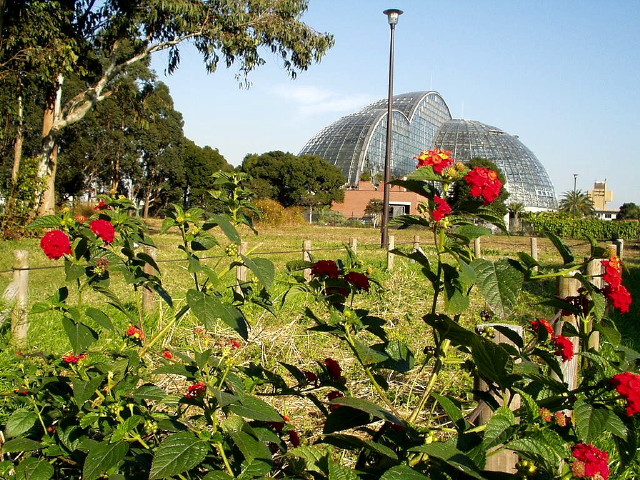 img0004.jpg