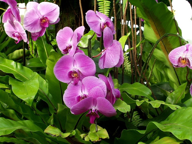 img0008.jpg