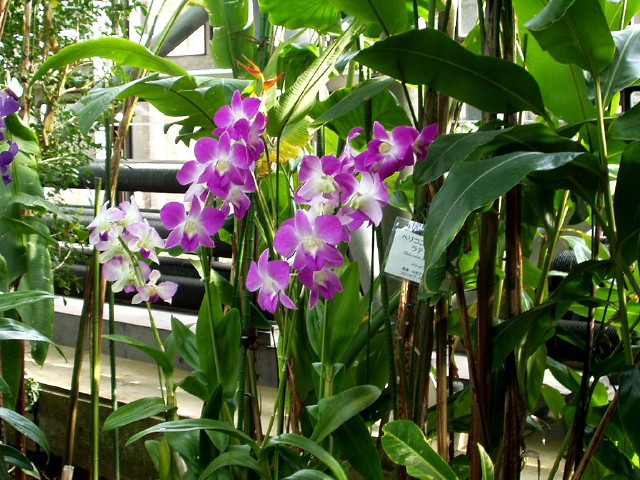 img0009.jpg
