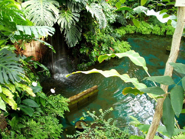 img0013.jpg