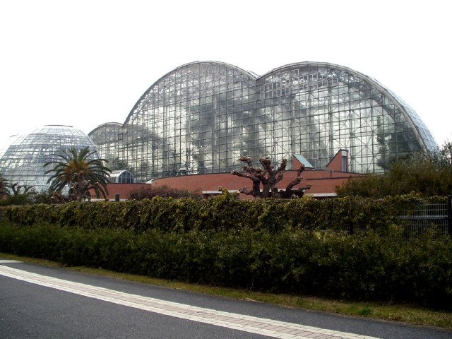 img0017.jpg