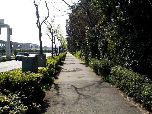 img0018.jpg