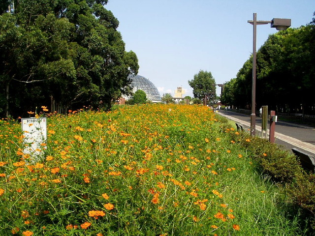 img0019.jpg